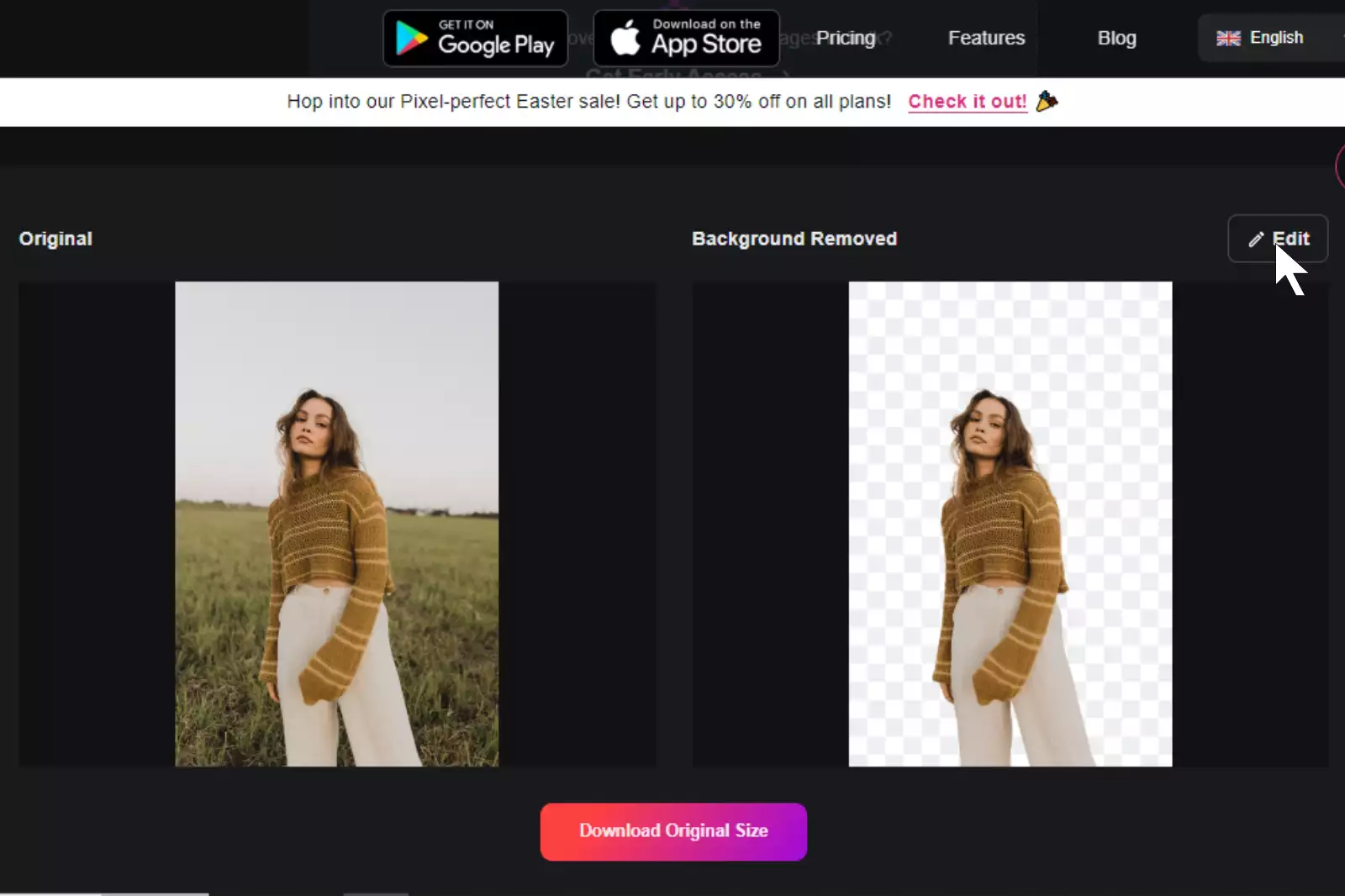 Change or Remove Background (BG) from JPEG Images Online